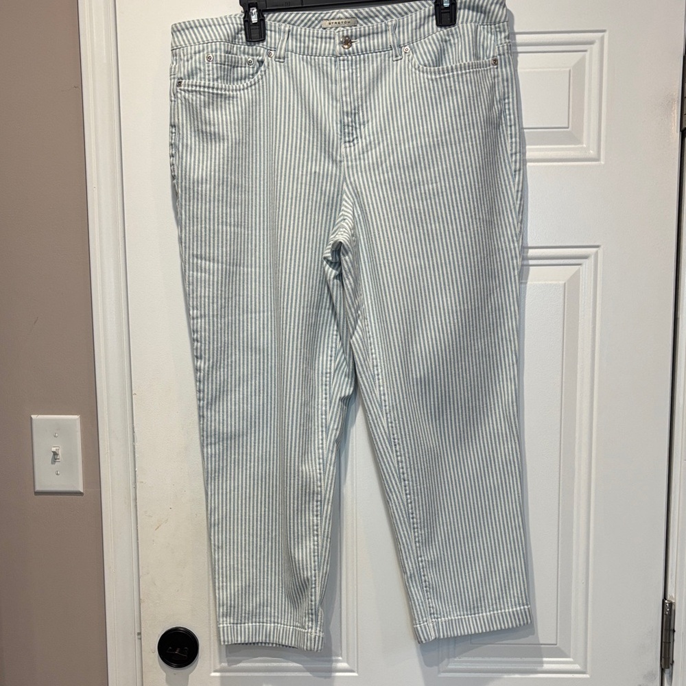 Jones New York Blue Striped Jeans. Inseam 25”. Size 16